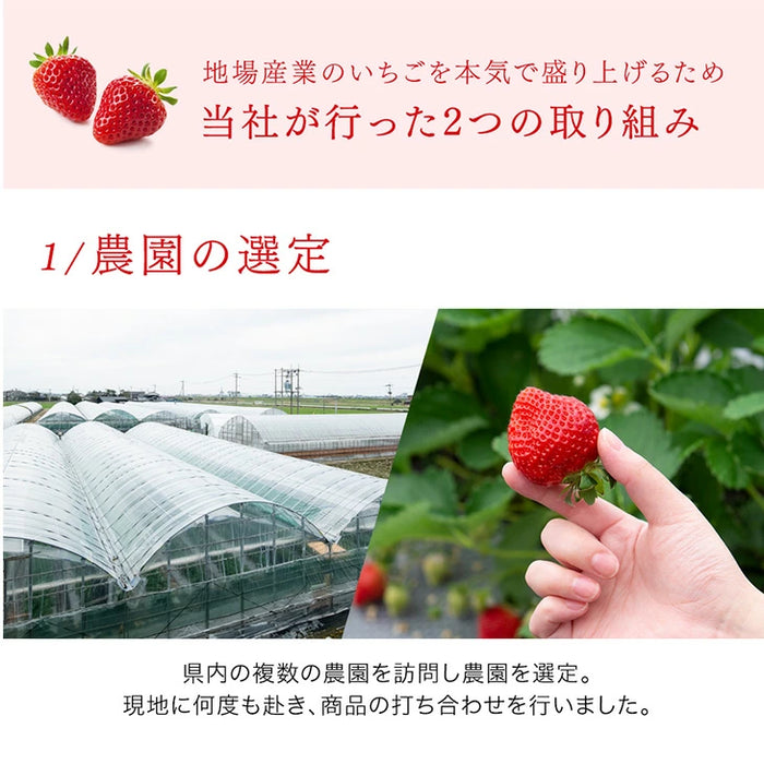 武下さんちの“完熟” あまおうジェラート 究極いちご含有率56％ 6個 ギフト いちご 福岡県 大川 アイスクリーム シャーベット カップアイス 詰め合わせ 無着色 お中元 暑中見舞い プレゼント ギフト〔89600008〕
