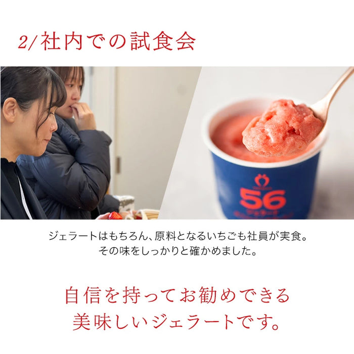 武下さんちの“完熟” あまおうジェラート 究極いちご含有率56％ 6個 ギフト いちご 福岡県 大川 アイスクリーム シャーベット カップアイス 詰め合わせ 無着色 お中元 暑中見舞い プレゼント ギフト〔89600008〕