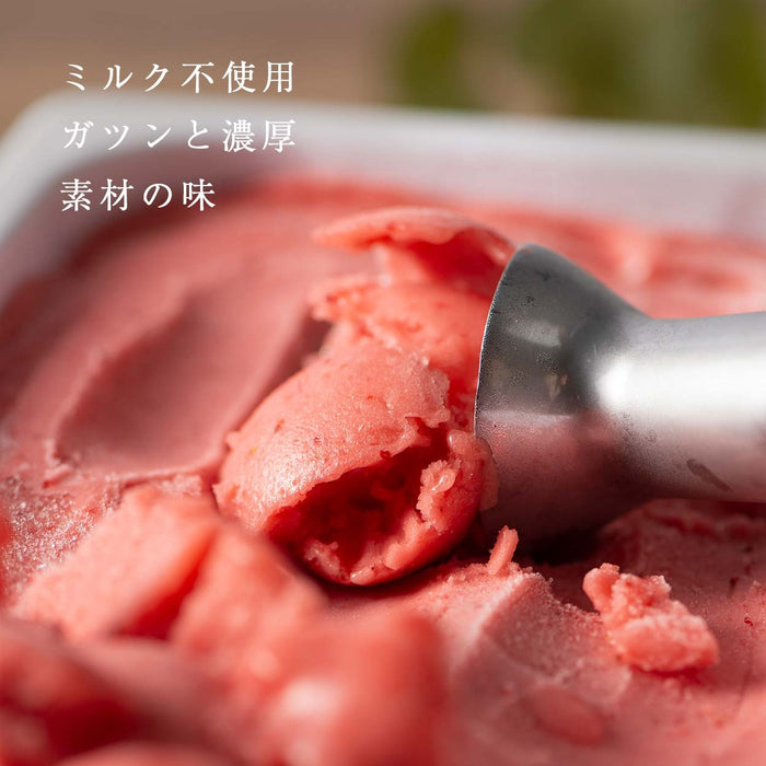 大容量 2L 武下さんちの“完熟” あまおうジェラート 究極いちご含有率56％ 福岡県 大川 アイスクリーム シャーベット パーティー バーベキュー イチゴ スイーツ ファミリー 無着色〔89600016〕