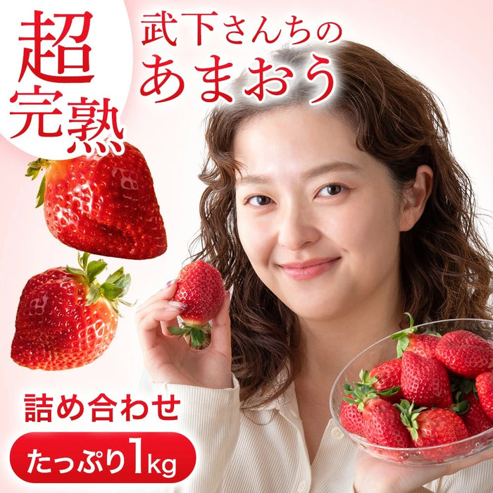 ［1kg］武下さんちの“超完熟”あまおう 詰め合わせ たっぷり1kg 品質保証 大粒 いちご 国産 福岡 1箱 1000g 500g ×2パック 贈答用 ギフト お歳暮〔8960002201〕