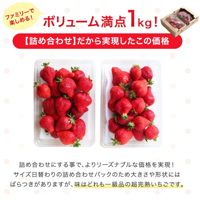 ［1kg］武下さんちの“超完熟”あまおう 詰め合わせ たっぷり1kg 品質保証 大粒 いちご 国産 福岡 1箱 1000g 500g ×2パック 贈答用 ギフト お歳暮〔8960002201〕