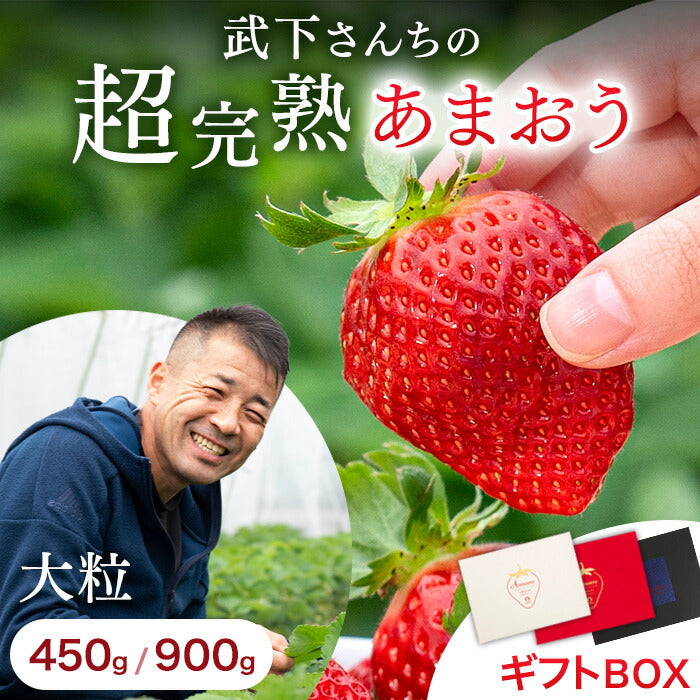 ［内容量 900g］武下さんちの“超完熟”あまおう ギフトBOX  大粒 3L 品質保証 日本産 お歳暮〔8960002401〕