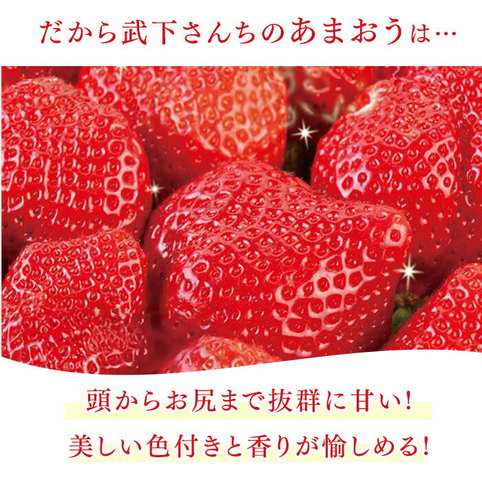 ［内容量 900g］武下さんちの“超完熟”あまおう ギフトBOX  大粒 3L 品質保証 日本産 お歳暮〔8960002401〕