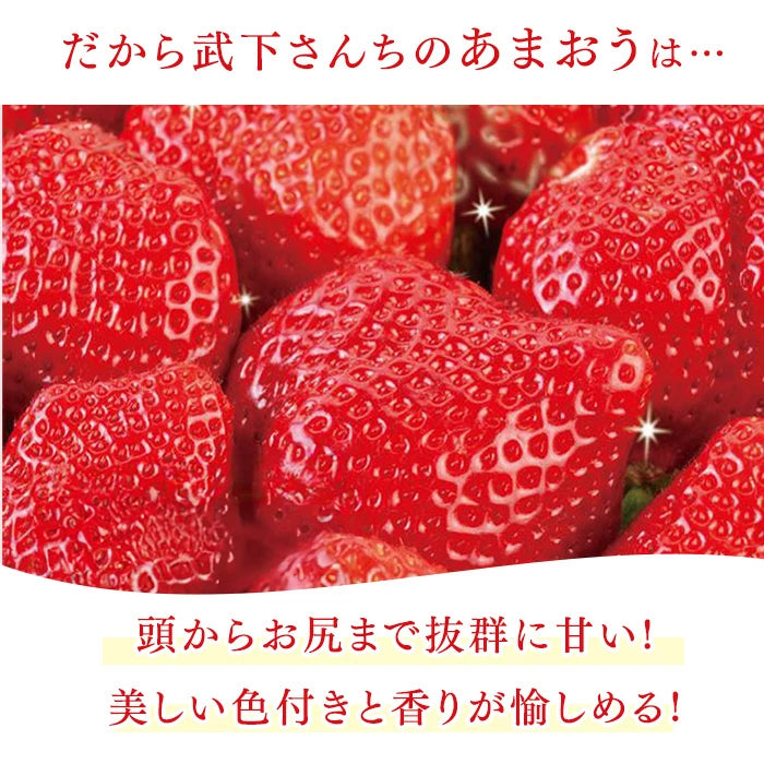 ［1kg］武下さんちの“超完熟”あまおう 詰め合わせ たっぷり1kg 品質保証 大粒 いちご 国産 福岡 1箱 1000g 500g ×2パック 贈答用 ギフト お歳暮〔8960002201〕