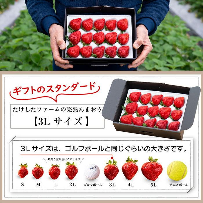［内容量 900g］武下さんちの“超完熟”あまおう ギフトBOX  大粒 3L 品質保証 日本産 お歳暮〔8960002401〕