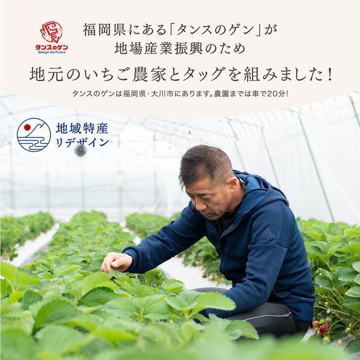 ［内容量 900g］武下さんちの“超完熟”あまおう ギフトBOX  大粒 3L 品質保証 日本産 お歳暮〔8960002401〕