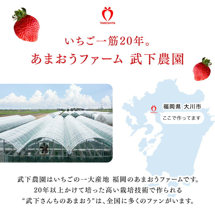 ［内容量 900g］武下さんちの“超完熟”あまおう ギフトBOX  大粒 3L 品質保証 日本産 お歳暮〔8960002401〕