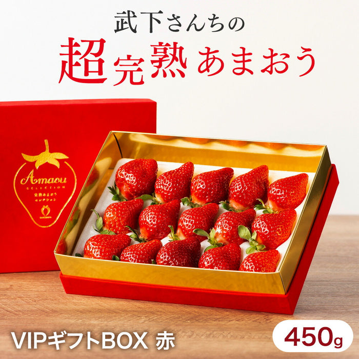 ［内容量 900g］武下さんちの“超完熟”あまおう ギフトBOX  大粒 3L 品質保証 日本産 お歳暮〔8960002401〕