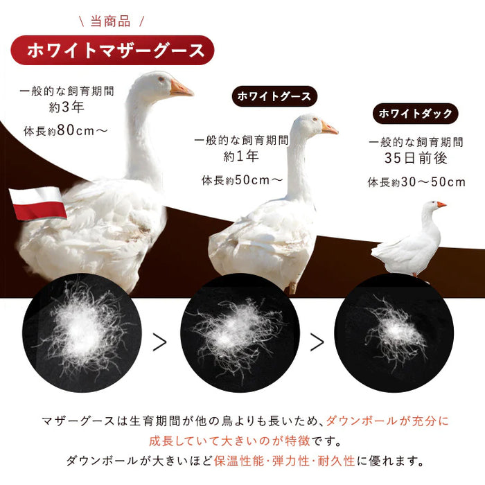 ［シングル］ ポーランド産 マザーグース 95％ 羽毛布団 増量1.3kg  440dp以上 日本製 7年保証 〔10119083〕