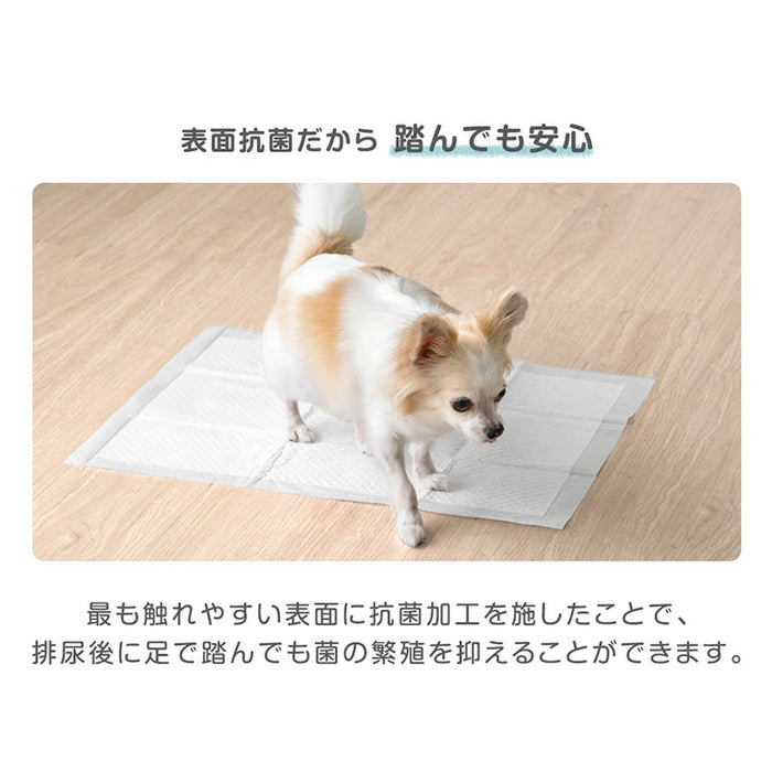 【大決算プライス】《当店だけの表面抗菌》選べる2タイプ ペットシーツ レギュラー 消臭 6層構造 トイレシーツ 使い捨て 〔90600001〕