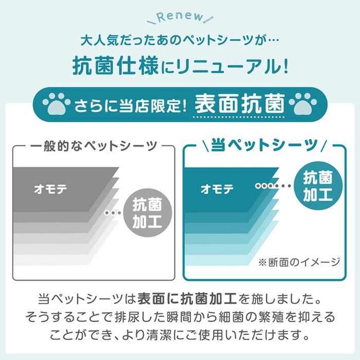【大決算プライス】《当店だけの表面抗菌》選べる2タイプ ペットシーツ レギュラー 消臭 6層構造 トイレシーツ 使い捨て 〔90600001〕