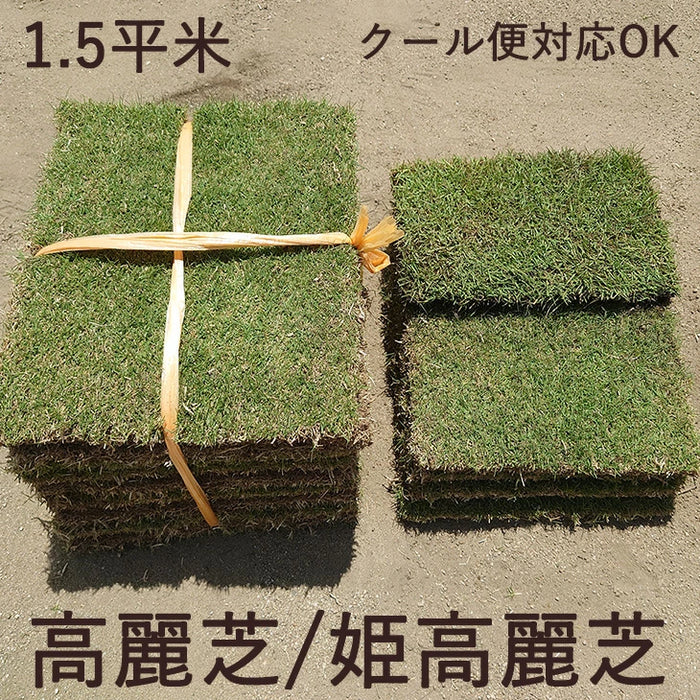 産地直送 高麗芝 or 姫高麗芝 天然芝 1.5平米 日本製 DIY 国産〔9310000〕