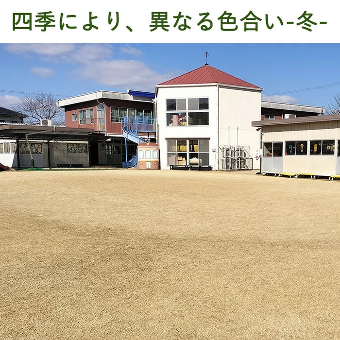 産地直送 高麗芝 or 姫高麗芝 天然芝 1.5平米 日本製 DIY 国産〔9310000〕