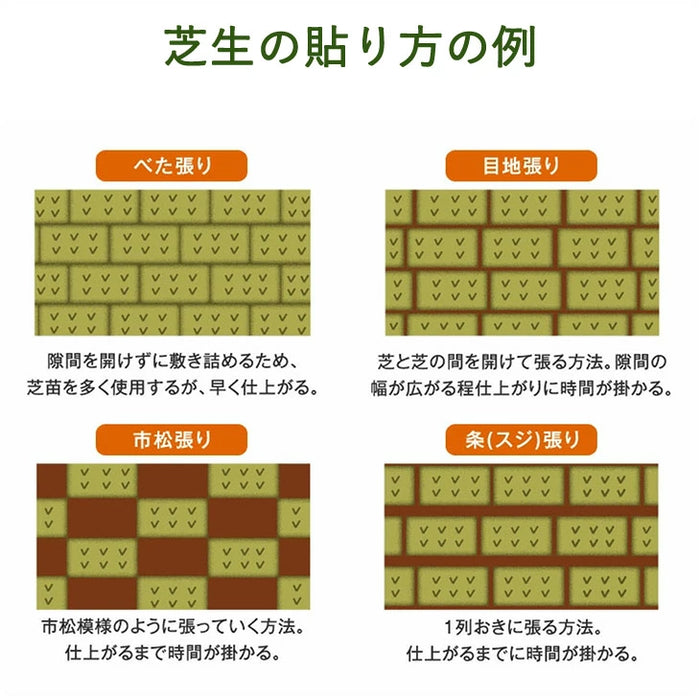 産地直送 高麗芝 or 姫高麗芝 天然芝 1.5平米 日本製 DIY 国産〔9310000〕