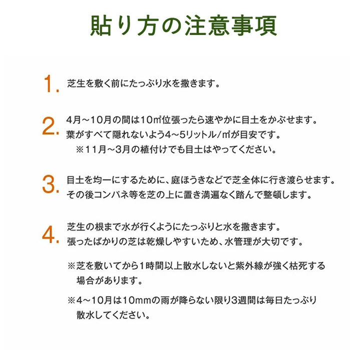 産地直送 高麗芝 or 姫高麗芝 天然芝 1.5平米 日本製 DIY 国産〔9310000〕