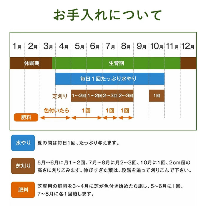 産地直送 高麗芝 or 姫高麗芝 天然芝 1.5平米 日本製 DIY 国産〔9310000〕