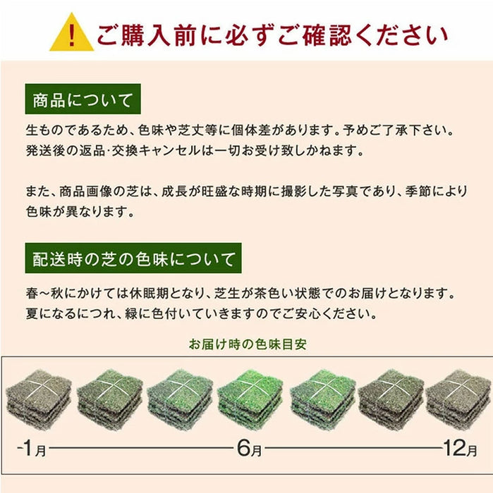 産地直送 高麗芝 or 姫高麗芝 天然芝 1.5平米 日本製 DIY 国産〔9310000〕