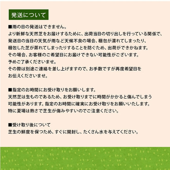 産地直送 高麗芝 or 姫高麗芝 天然芝 1.5平米 日本製 DIY 国産〔9310000〕