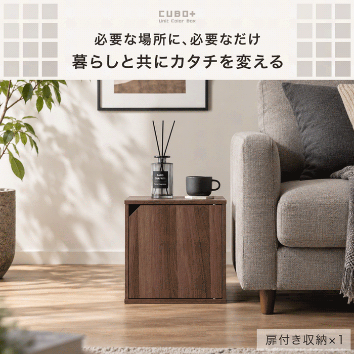 【新発売記念プライス】［2個セット］組み替え自在 カラーボックス 扉付き 棚付き オープン 大容量 収納〔00100635〕