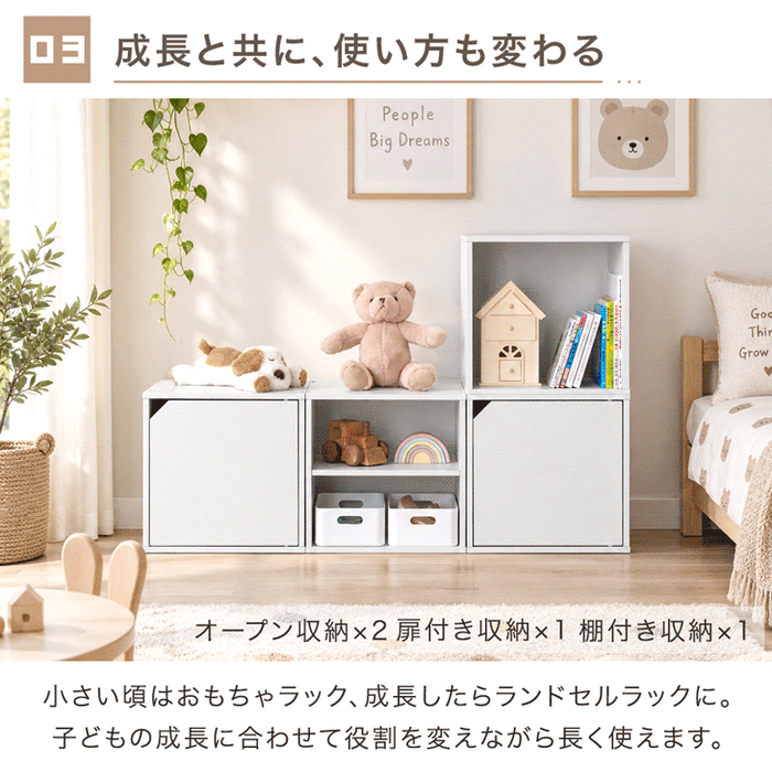 【新発売記念プライス】［2個セット］組み替え自在 カラーボックス 扉付き 棚付き オープン 大容量 収納〔00100635〕