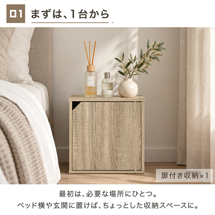 【新発売記念プライス】［2個セット］組み替え自在 カラーボックス 扉付き 棚付き オープン 大容量 収納〔00100635〕