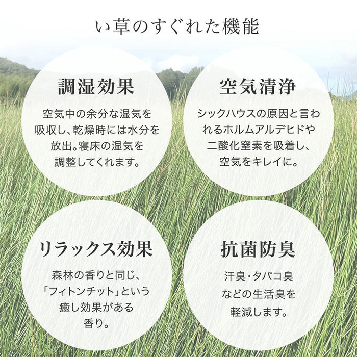 ［8枚］天然い草 畳 パレットベッド お掃除ロボ対応 抗菌 調湿 すのこベッド〔99902101〕