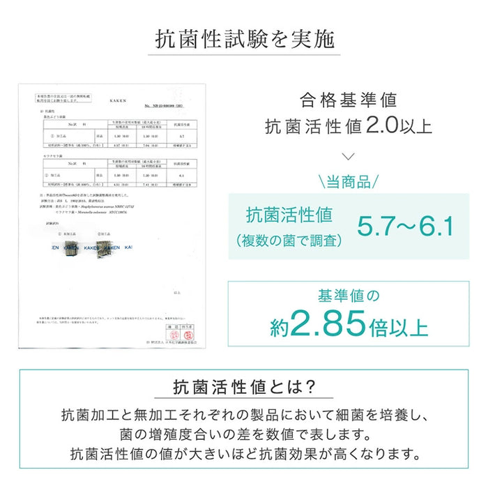 ［8枚］天然い草 畳 パレットベッド お掃除ロボ対応 抗菌 調湿 すのこベッド〔99902101〕