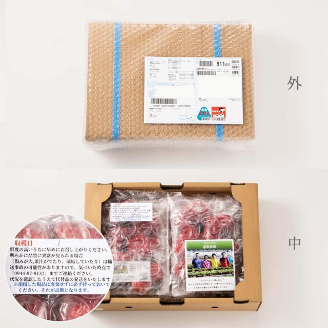 ［1kg］武下さんちの“超完熟”あまおう 詰め合わせ たっぷり1kg 品質保証 大粒 いちご 国産 福岡 1箱 1000g 500g ×2パック 贈答用 ギフト お歳暮〔8960002201〕