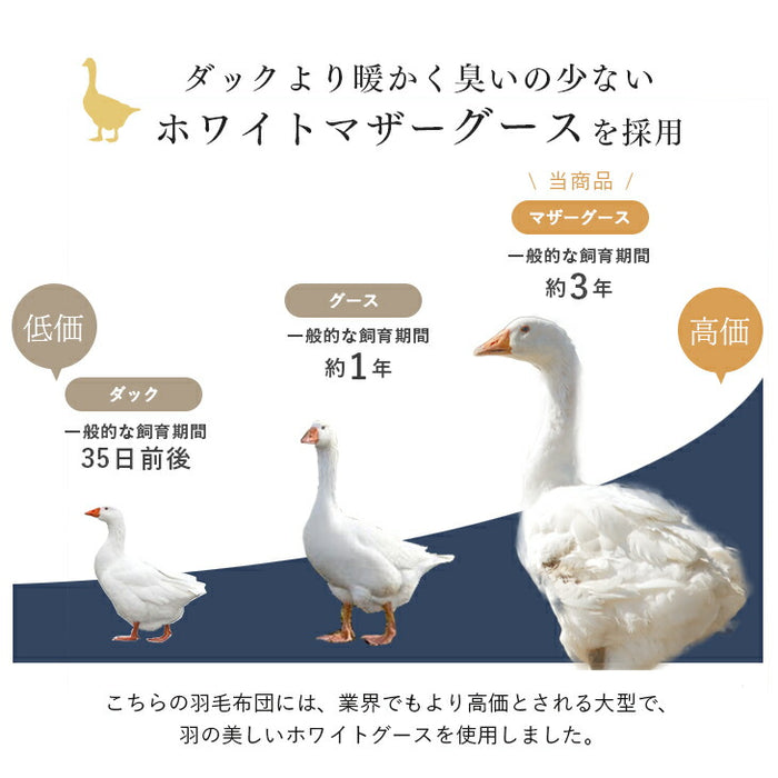 [ダブル] 1.6kg 羽毛布団 ポーランド産マザーグースダウン95％ CILブラックラベル 440dp 二層キルト 日本製 〔10119333〕