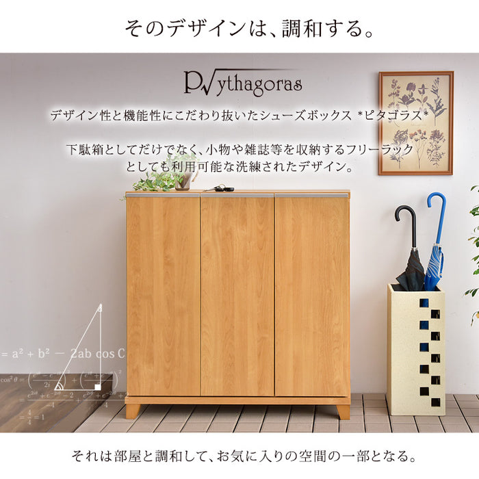 幅90cm 国産 完成品 シューズボックス 洗える可動棚 脱臭 *ピタゴラス-TG*  【超大型商品】 〔24900003〕