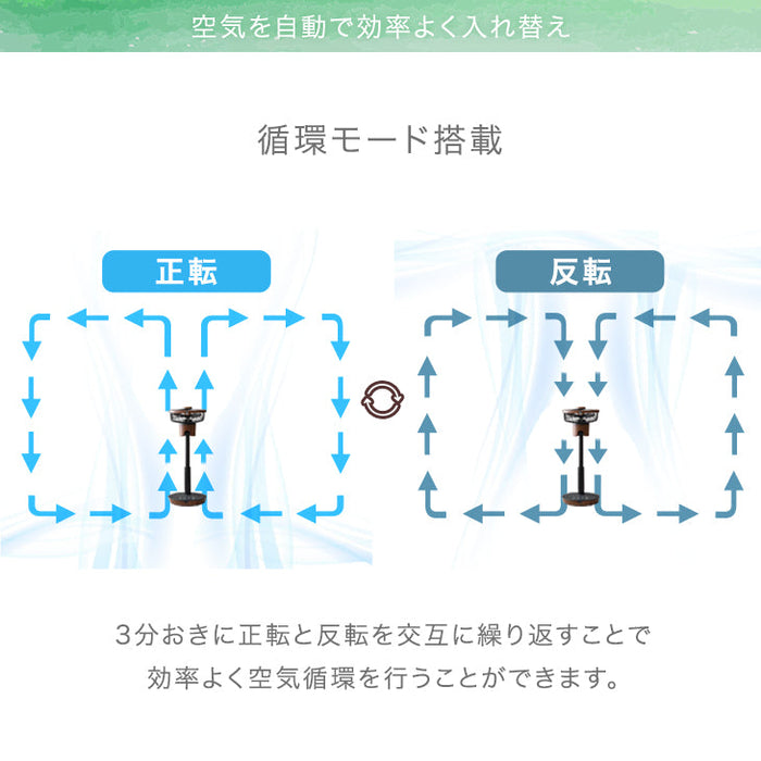 1台2役 DC サーキュレーター 扇風機 逆回転モード 自動首振り 木目ブラウン 静音 省エネ 4枚羽根 リモコン操作 DCモーター〔3840000330〕