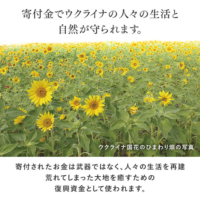 [セミダブル] 羽毛布団 ホワイトダックダウン 93% 日本製 ゴールドラベル ウクライナ産〔39100354〕