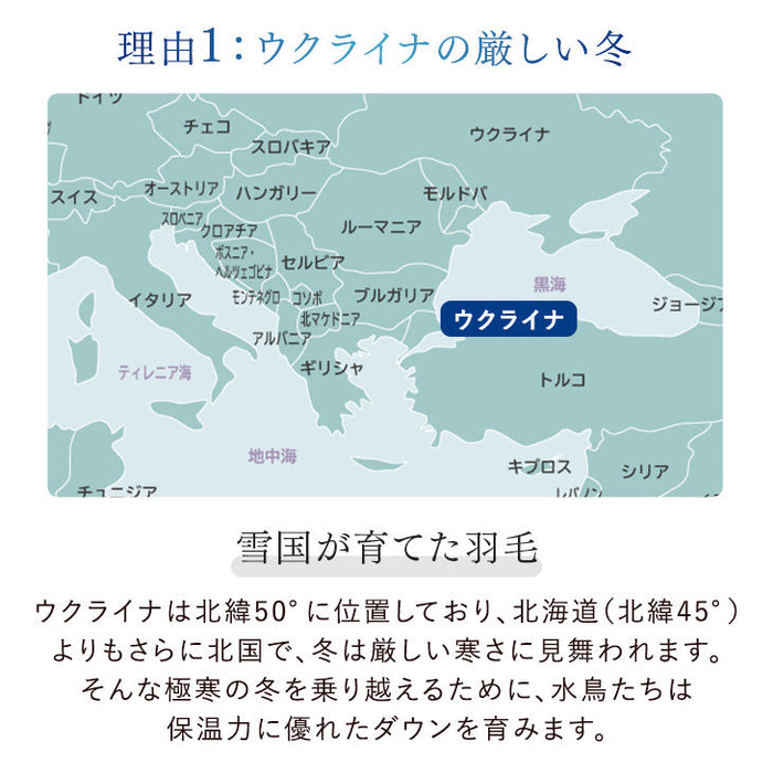 [ダブル] 羽毛布団 ホワイトダックダウン 93% 日本製 ゴールドラベル ウクライナ産〔39100355〕