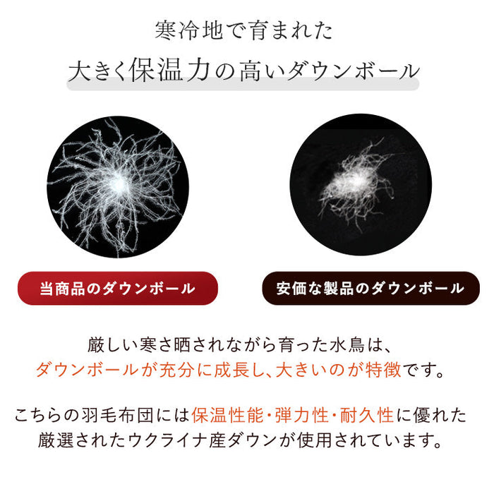 [ダブル] 羽毛布団 ホワイトダックダウン 93% 日本製 ゴールドラベル ウクライナ産〔39100355〕