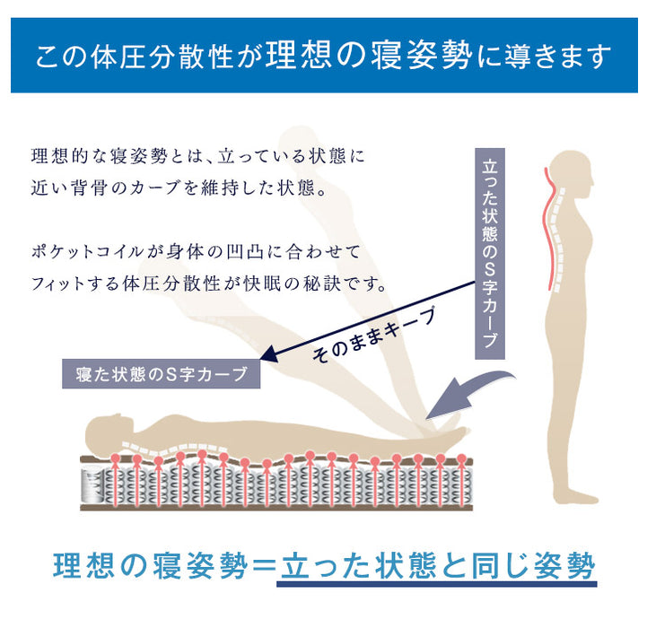 ［ダブル］すのこベッド 3ゾーン構造 ポケットコイルマットレス付 宮棚＆2口コンセント 宮棚付き マットレスセット 〔49600821〕