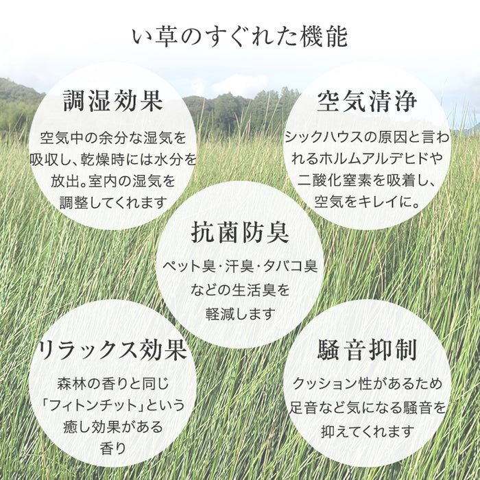 【16枚 厚み2.5cm 3畳用】敷くだけカンタン 置き畳 軽量 い草 抗菌 防臭 防音 滑り止め 床暖房対応 琉球畳 和室 賃貸〔86211601〕