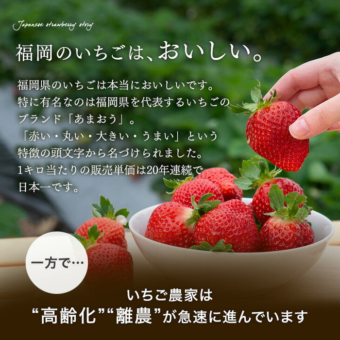 武下さんちの“完熟” あまおうそのまま85%ジャム 2瓶 4瓶 8瓶 セット 手作り 無添加 完熟 日本製  ギフト〔89600021〕