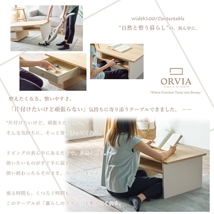 ［幅100］ローテーブル 完成品 収納付き キャスター付 センターテーブル 北欧〔71050028〕