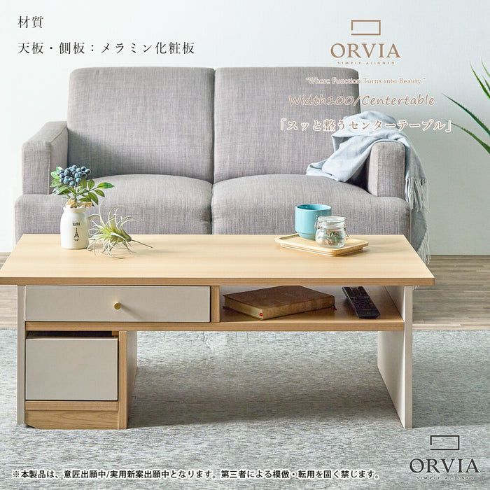 ［幅100］ローテーブル 完成品 収納付き キャスター付 センターテーブル 北欧〔71050028〕