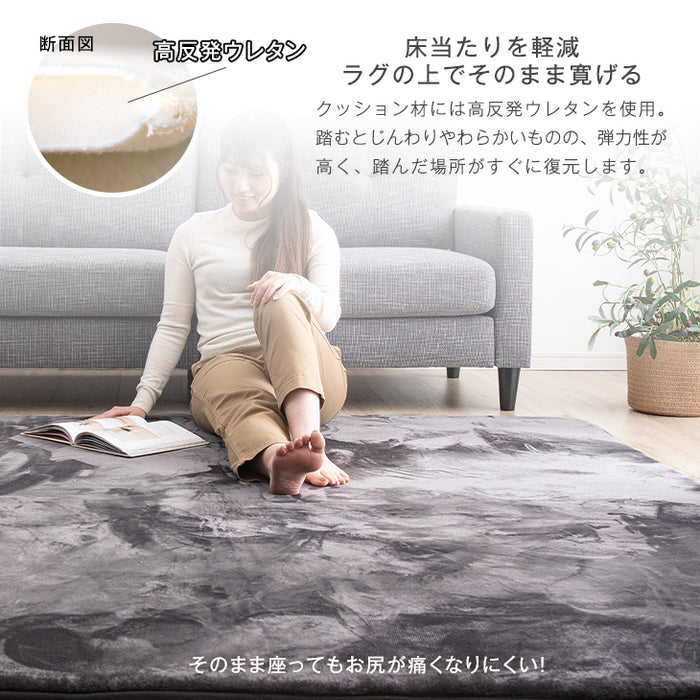 ［3畳用］200×250cm 高反発ラグ ホットカーペット 2点セット 滑り止め付〔30300020〕