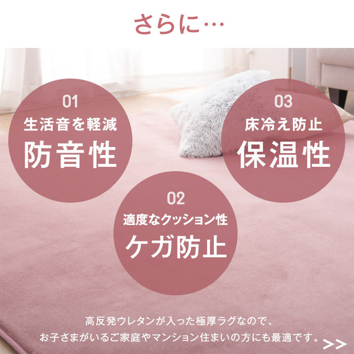 ［3畳用］200×250cm 高反発ラグ ホットカーペット 2点セット 滑り止め付〔30300020〕