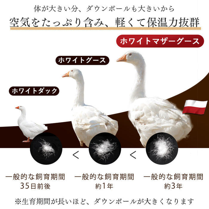 [クイーン] 女神の羽毛布団 増量1.9kg ポーランド産マザーグースダウン95％ CILブラックラベル 二層キルト 440dp以上 かさ高180mm以上  60サテン 7年保証 日本製 〔10119218〕