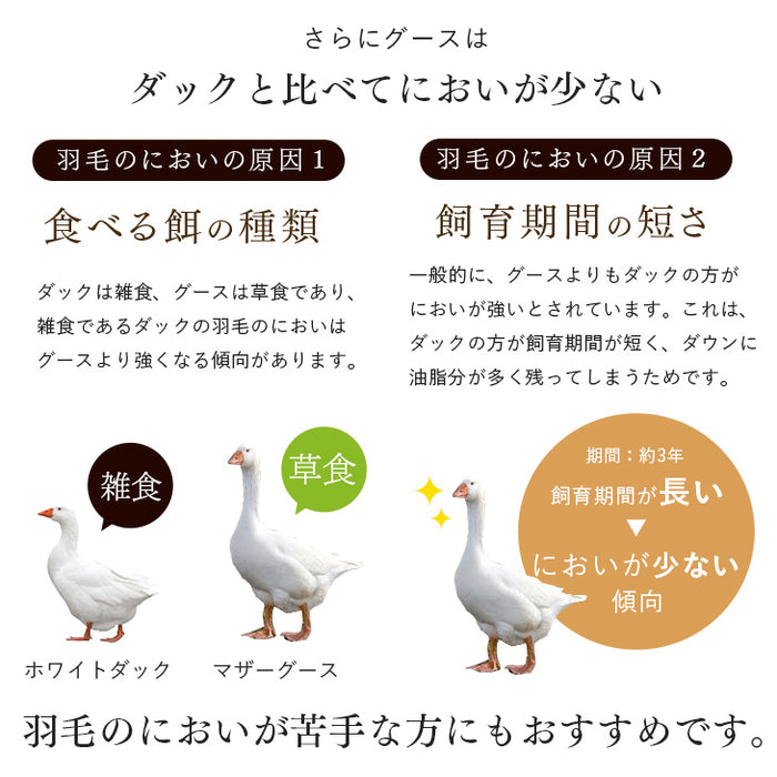 [セミダブル] 女神の羽毛布団 増量 1.6kg ポーランド産マザーグースダウン95％ CILブラックラベル 440dp 二層キルト かさ高180mm以上 日本製 〔10119084〕