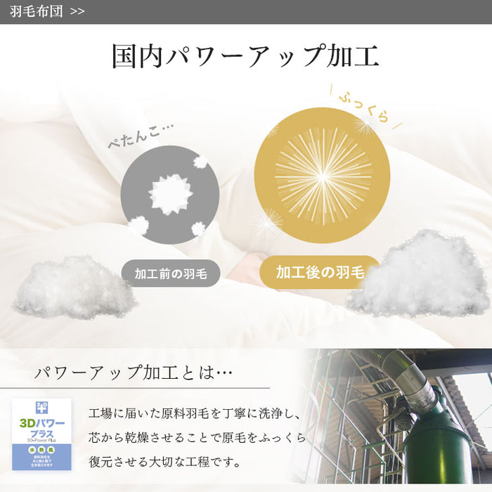日本製 羽毛布団4点セット シングル ホワイトダックダウン 85％ CILレッドラベル 固綿入り 枕 枕カバー 掛け布団 敷き布団 3年保証 〔10106460〕