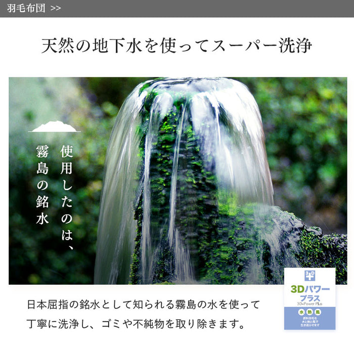 日本製 羽毛布団4点セット シングル ホワイトダックダウン 85％ CILレッドラベル 固綿入り 枕 枕カバー 掛け布団 敷き布団 3年保証 〔10106460〕