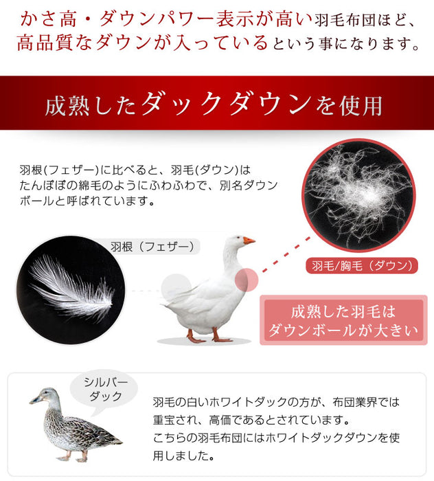 [セミダブル] 2枚合わせ 羽毛布団 ホワイトダックダウン85％ CILレッドラベル 立体キルト 300dp以上 抗菌・防臭 日本製 〔10119065〕