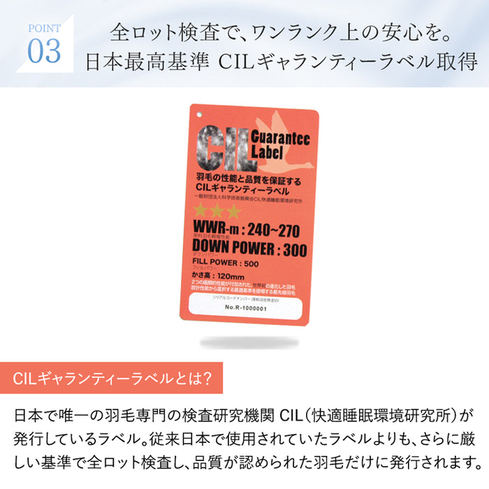 [ダブルロング] 洗える 肌掛け布団 羽毛 日本製 ダックダウン85％ 30マス立体キルト ダウンケット 夏 夏用 布団〔10119212〕