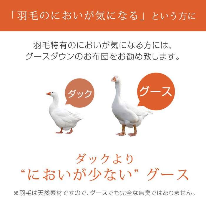 肌掛け布団  日本製 ダウンケット ポーランド産ホワイトマザーグースダウン 95% ダブル ロング CILプラチナラベル 消臭 抗菌 夏 夏用 布団【10年保証】〔10119326〕