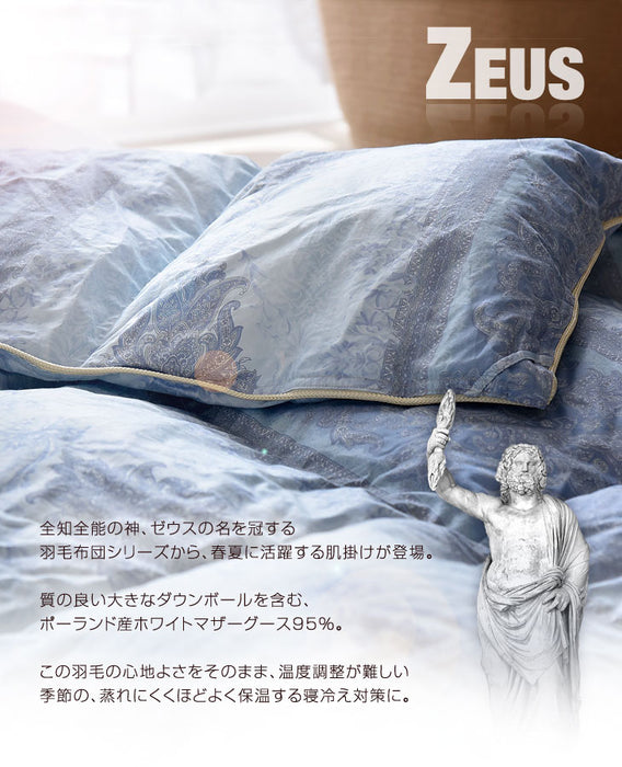 肌掛け布団  日本製 ダウンケット ポーランド産ホワイトマザーグースダウン 95% ダブル ロング CILプラチナラベル 消臭 抗菌 夏 夏用 布団【10年保証】〔10119326〕