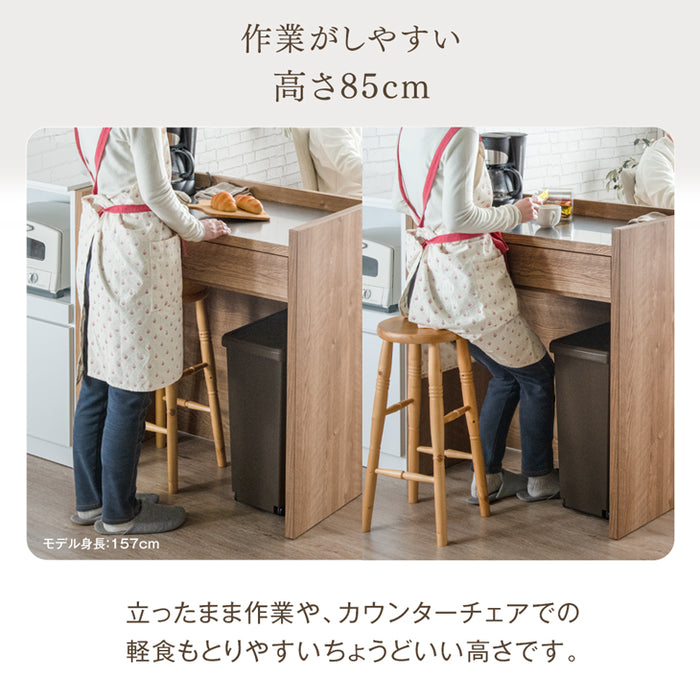 キッチンカウンター 日本製 完成品 大川家具 食器棚 対面式 収納 【超大型商品】〔17010095〕